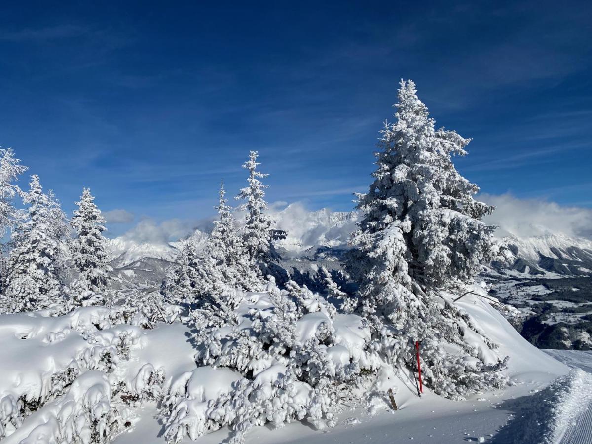 Chalet Reiteralm- Ski Inski Out Schladming Exterior foto